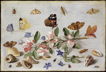 Insekten